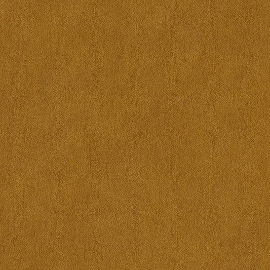 Warwick Peachy Saffron