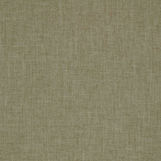 Warwick Perugia Elm