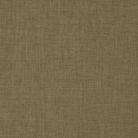 Warwick Perugia Olive