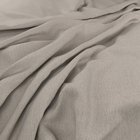 Warwick Playa Urchin