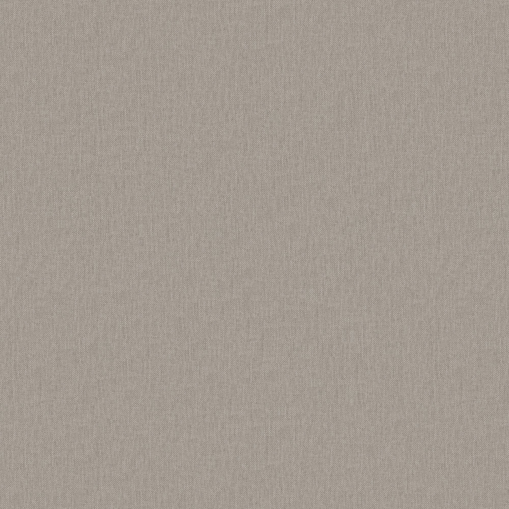 Warwick Playa Urchin