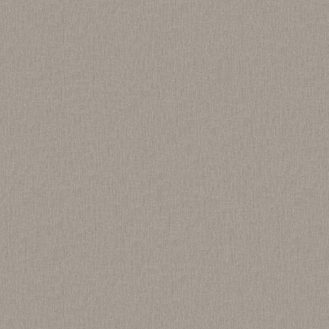 Warwick Playa Urchin