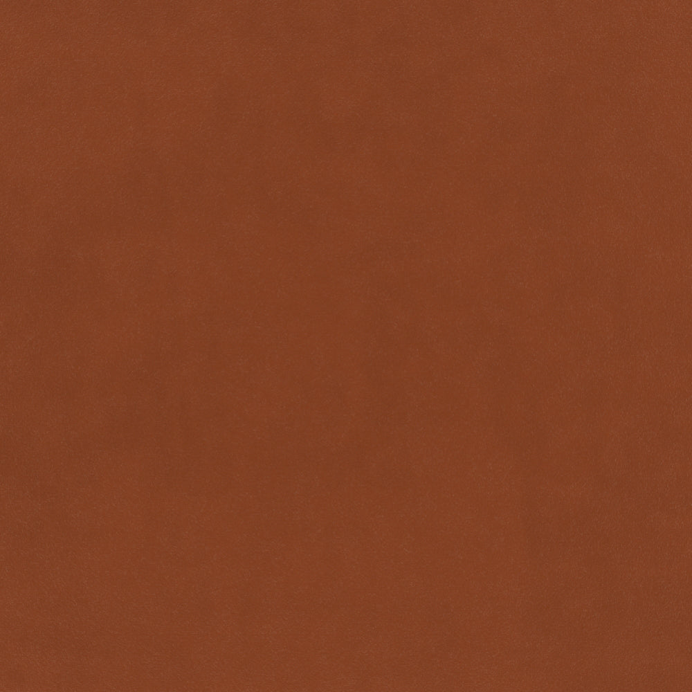 Warwick Plush Velvet IV Apricot