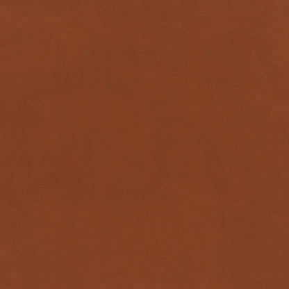 Warwick Plush Velvet IV Apricot