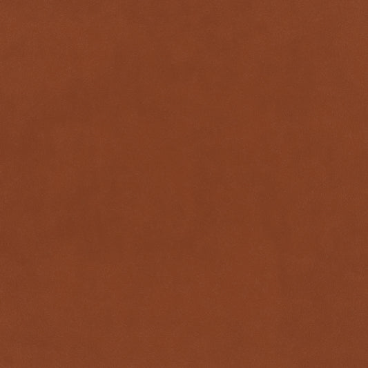 Warwick Plush Velvet IV Apricot