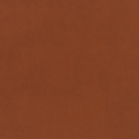 Warwick Plush Velvet IV Apricot