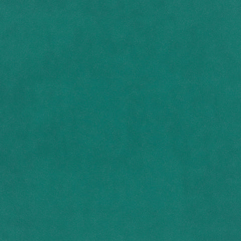 Warwick Plush Velvet IV Atoll