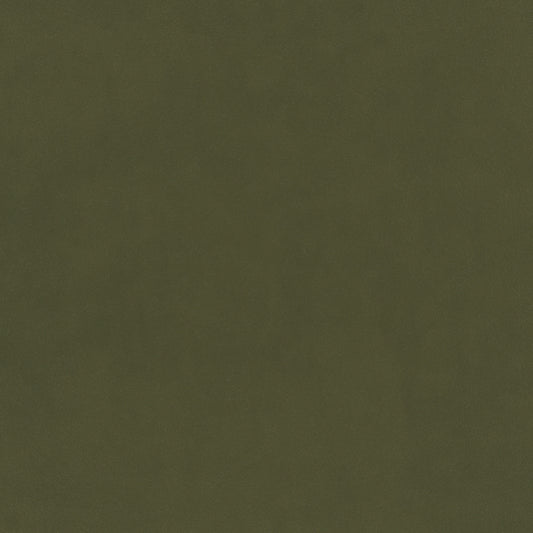 Warwick Plush Velvet IV Avocado