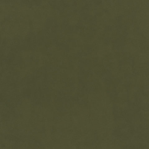 Warwick Plush Velvet IV Avocado