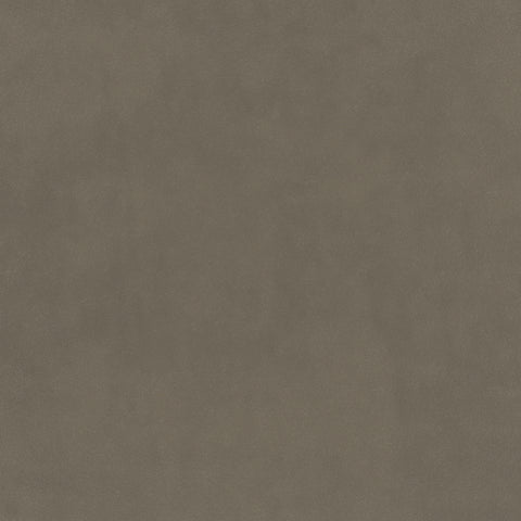 Warwick Plush Velvet  Concrete
