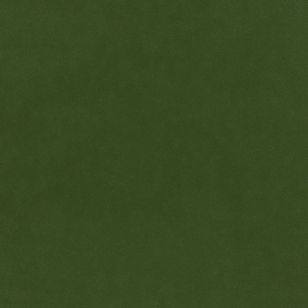 Warwick Plush Velvet IV Conifer