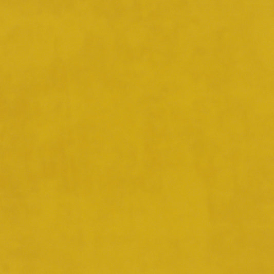 Warwick Plush Velvet IV Daffodil