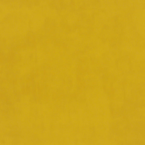 Warwick Plush Velvet IV Daffodil