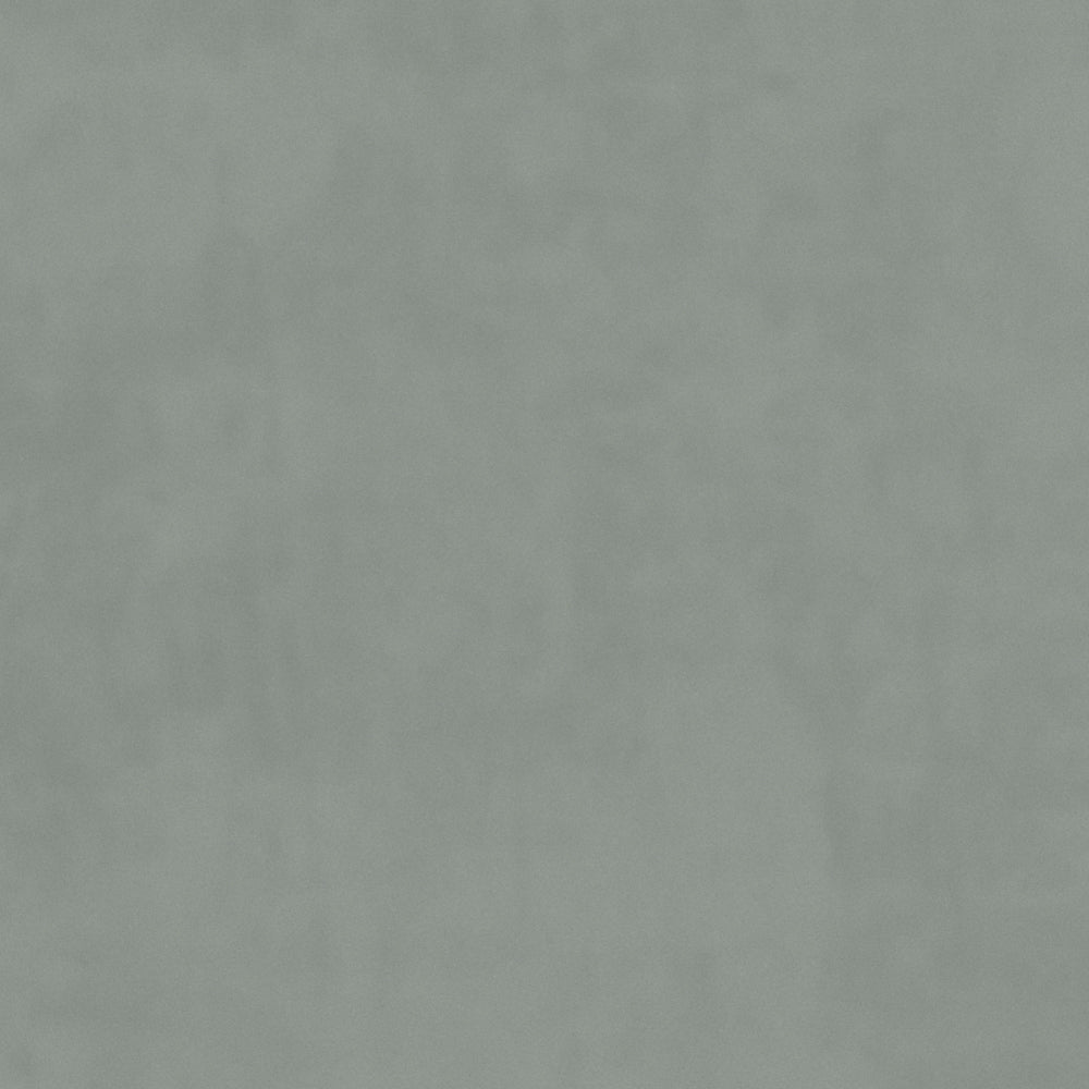 Warwick Plush Velvet IV French Grey