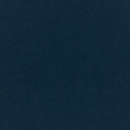 Warwick Plush Velvet IV Indigo