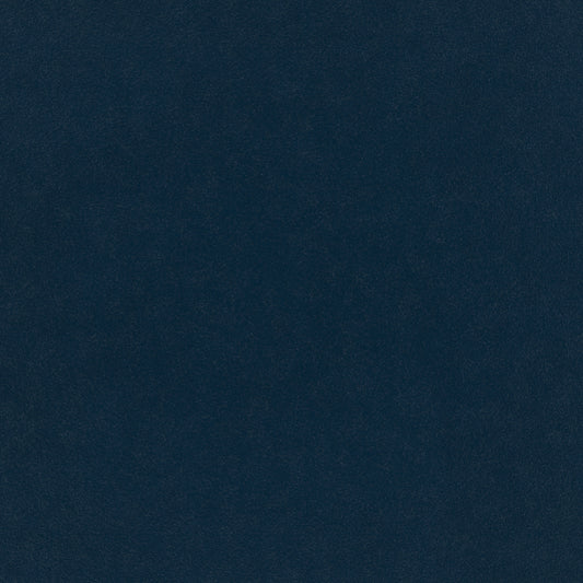 Warwick Plush Velvet IV Indigo