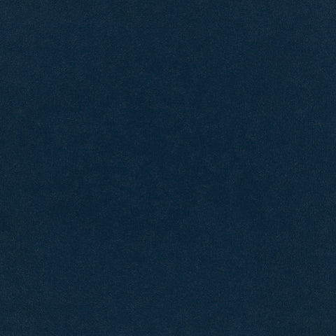 Warwick Plush Velvet IV Indigo