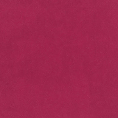 Warwick Plush Velvet IV Peony