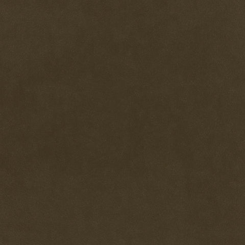 Warwick Plush Velvet IV Poplar