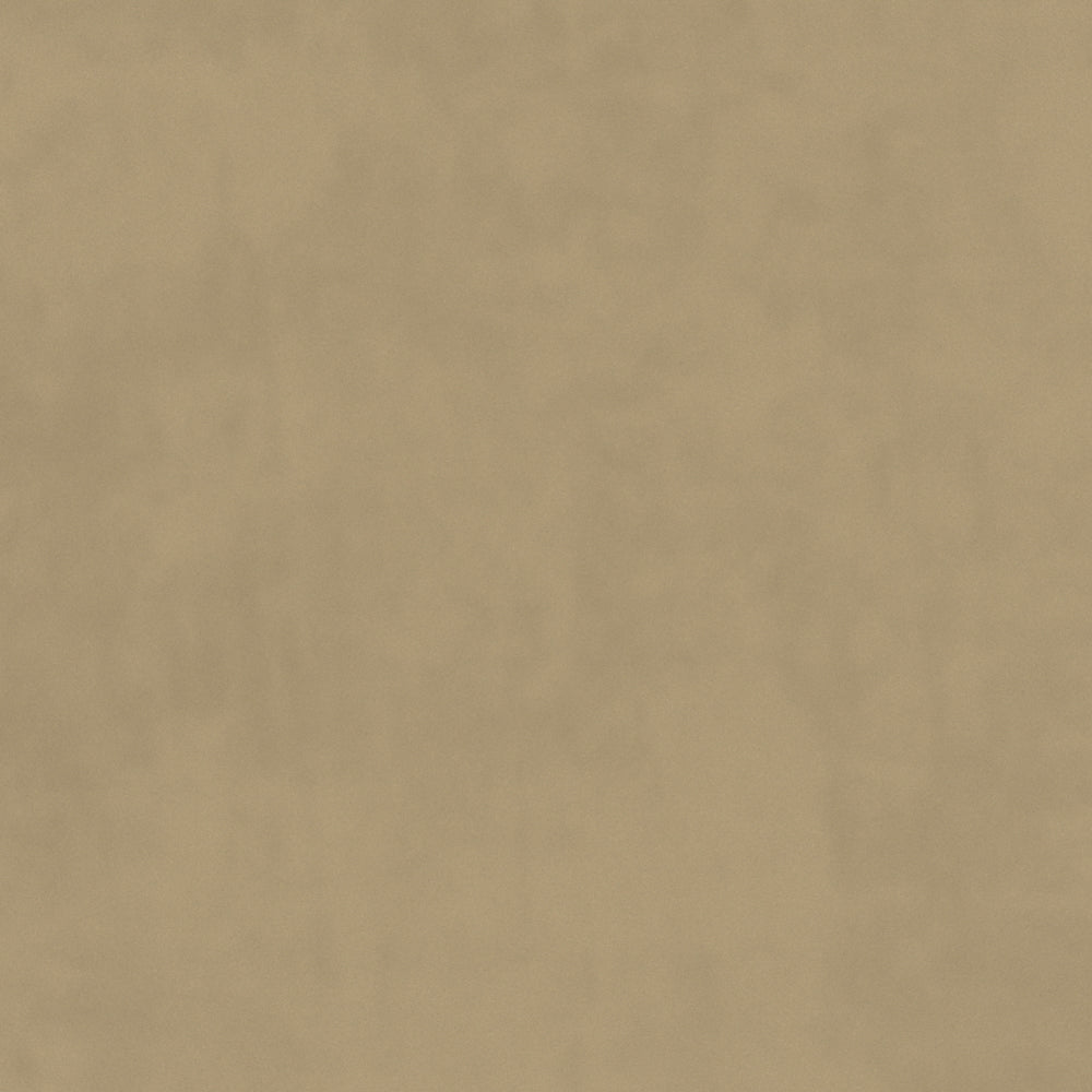 Warwick Plush Velvet IV Pumice