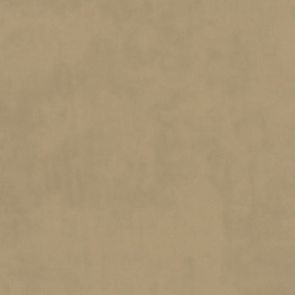 Warwick Plush Velvet IV Pumice