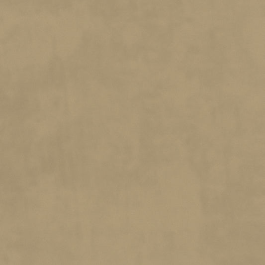 Warwick Plush Velvet IV Pumice