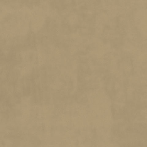 Warwick Plush Velvet IV Pumice