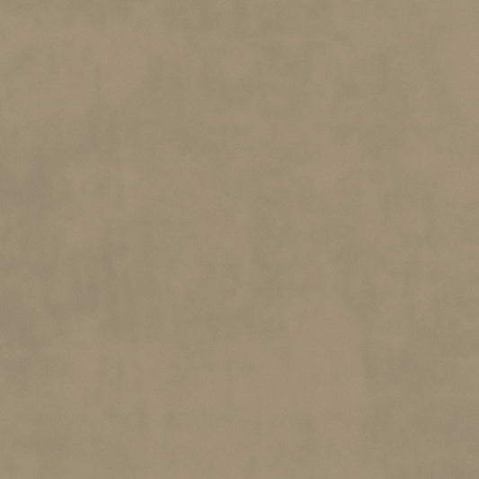 Warwick Plush Velvet IV Taupe