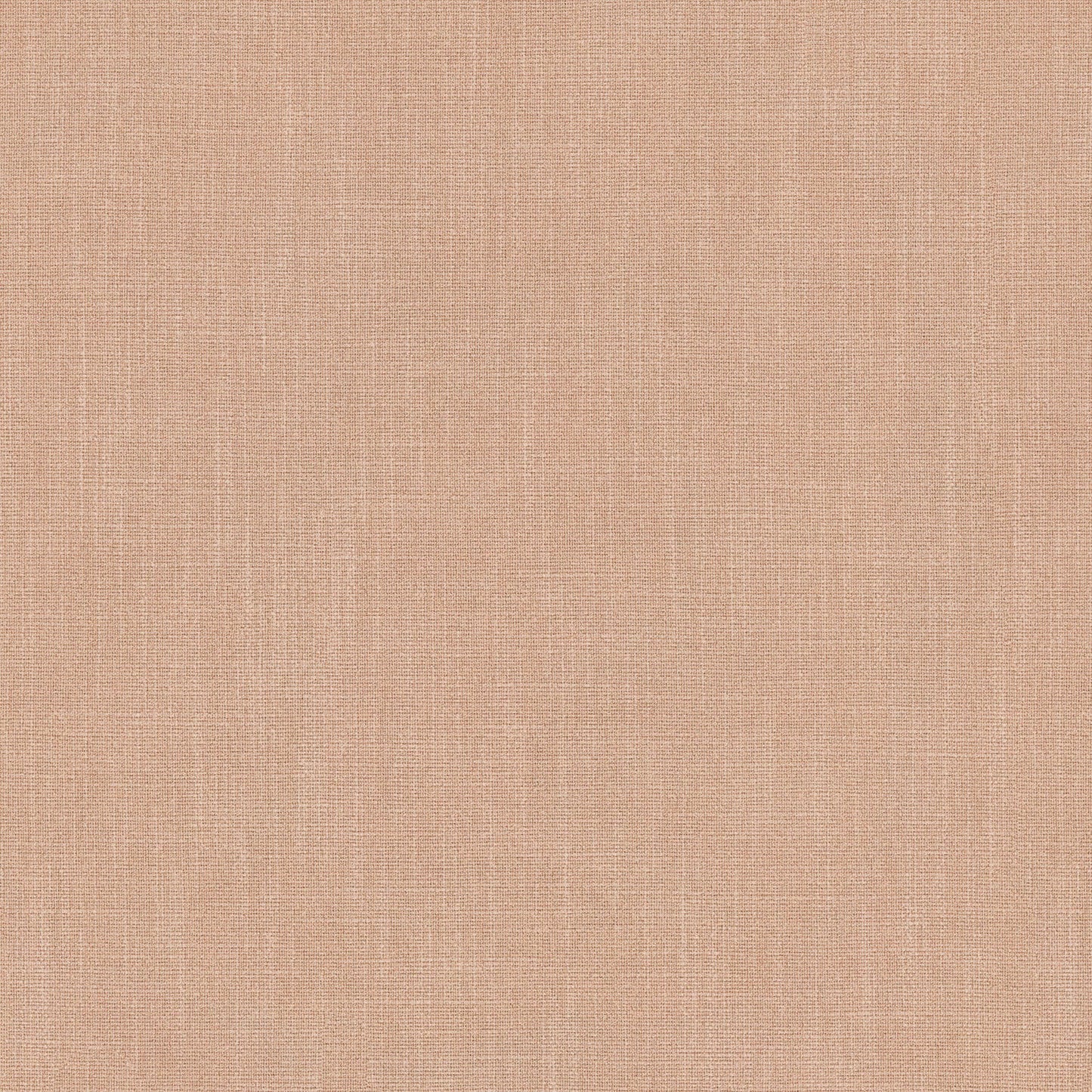 Linwood Pluto Carnation