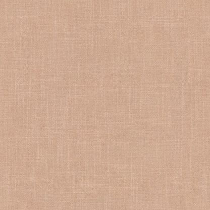 Linwood Pluto Carnation