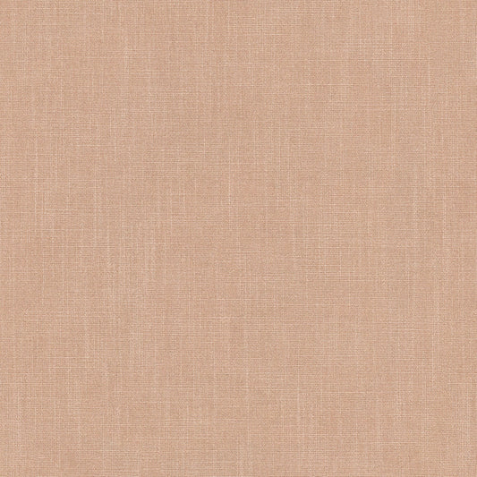 Linwood Pluto Carnation
