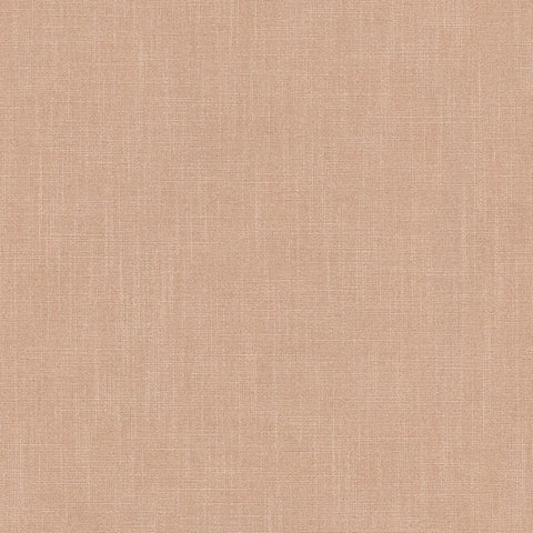 Linwood Pluto Carnation