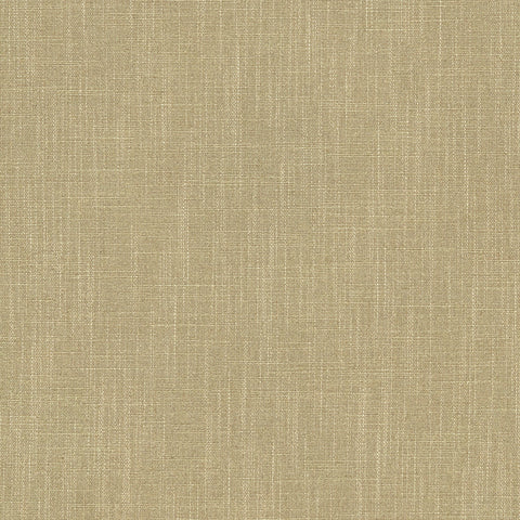 Linwood Pluto Cashew