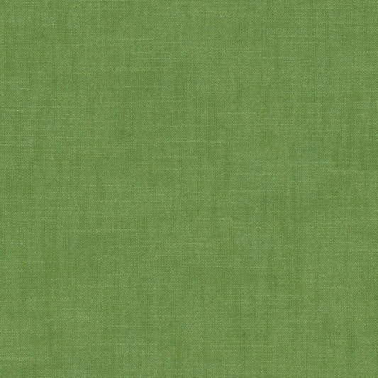 Linwood Pluto Mantis