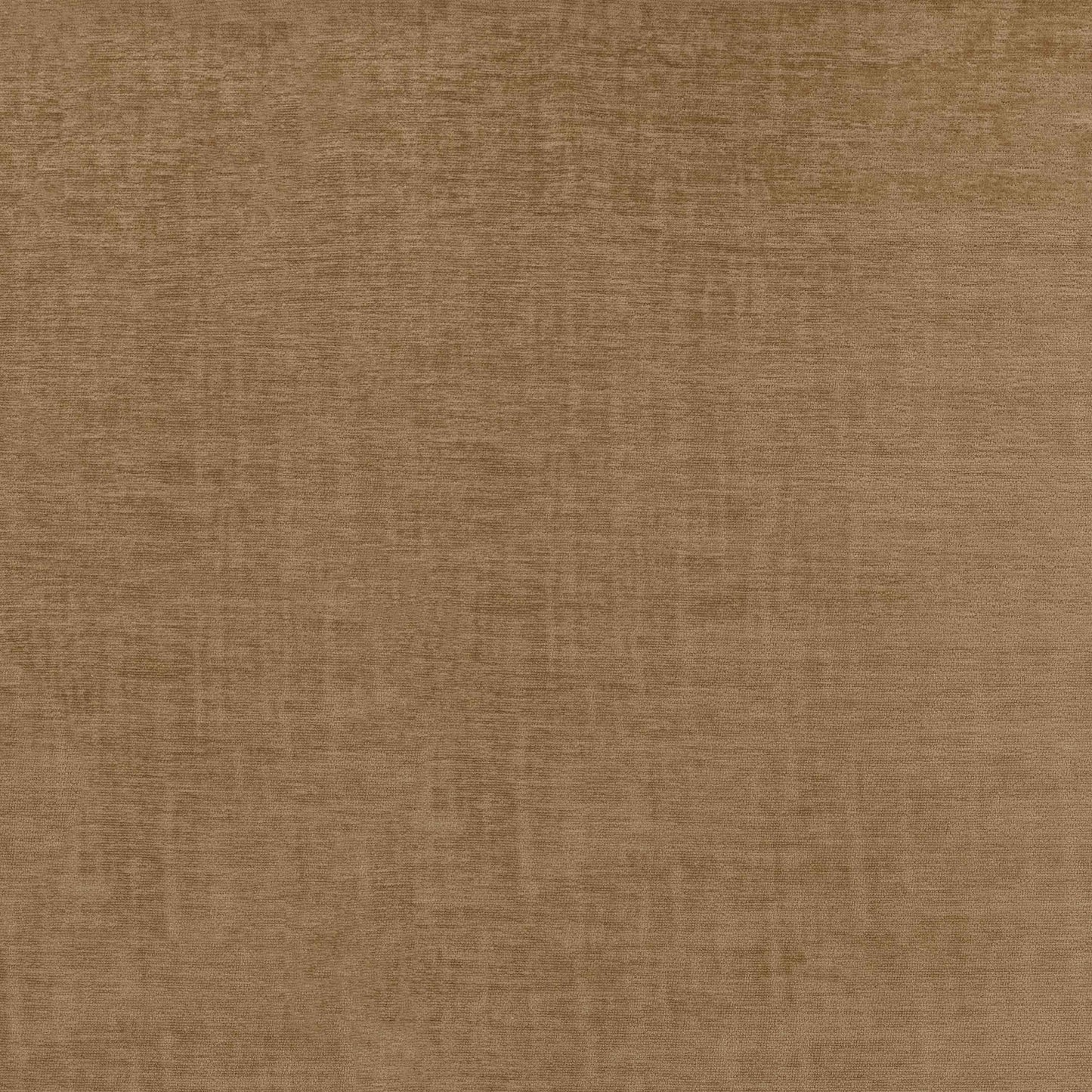 Warwick Pradha Caramel