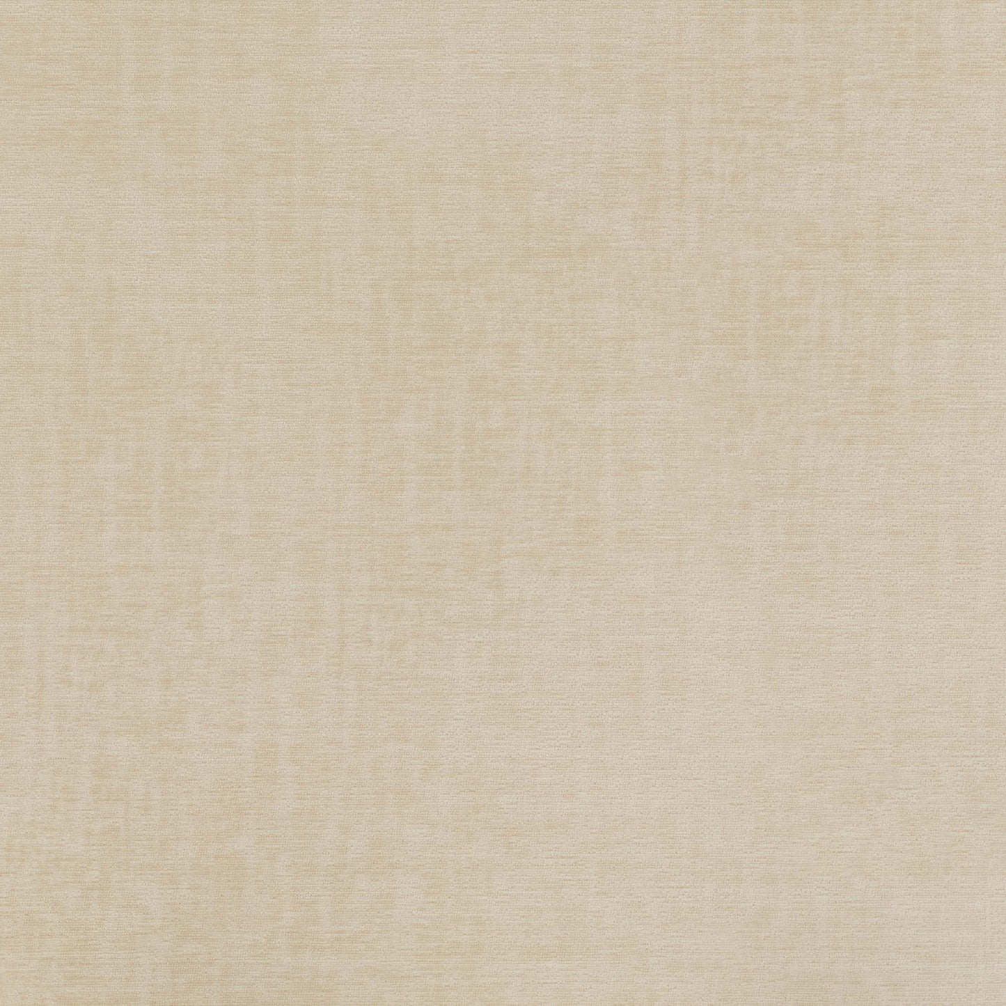 Warwick Pradha Feather