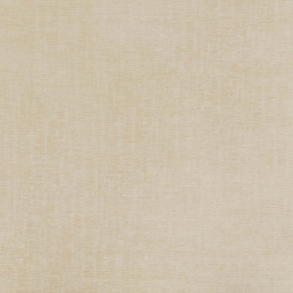 Warwick Pradha Feather