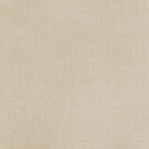 Warwick Pradha Feather