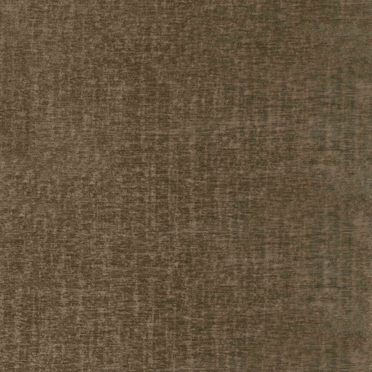 Warwick Pradha Fennel