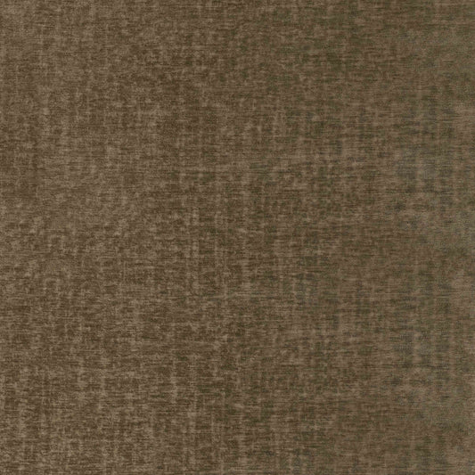 Warwick Pradha Fennel