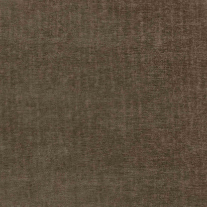 Warwick Pradha Nutmeg