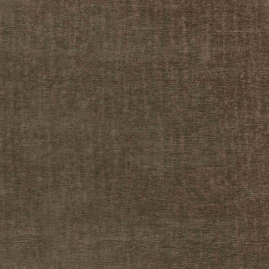 Warwick Pradha Nutmeg