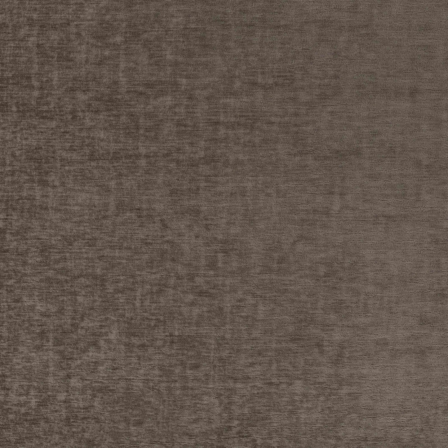 Warwick Pradha Truffle