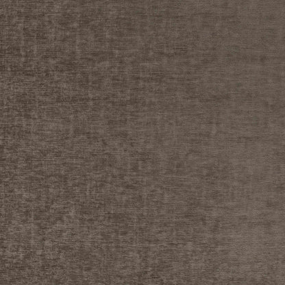 Warwick Pradha Truffle