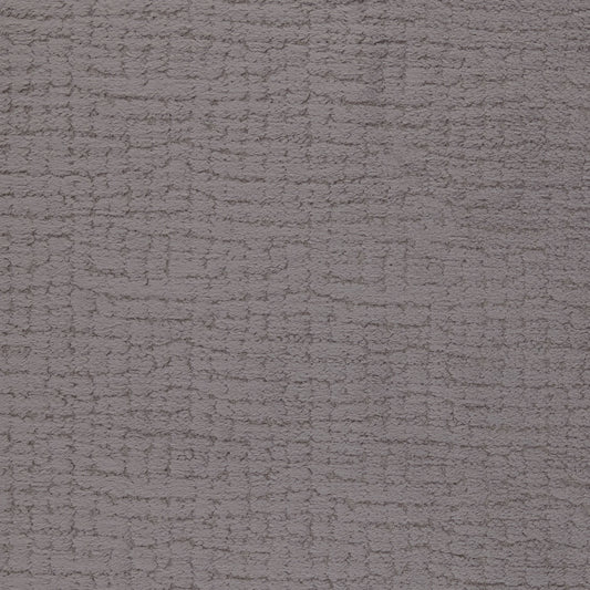 Warwick Pucci Thunder