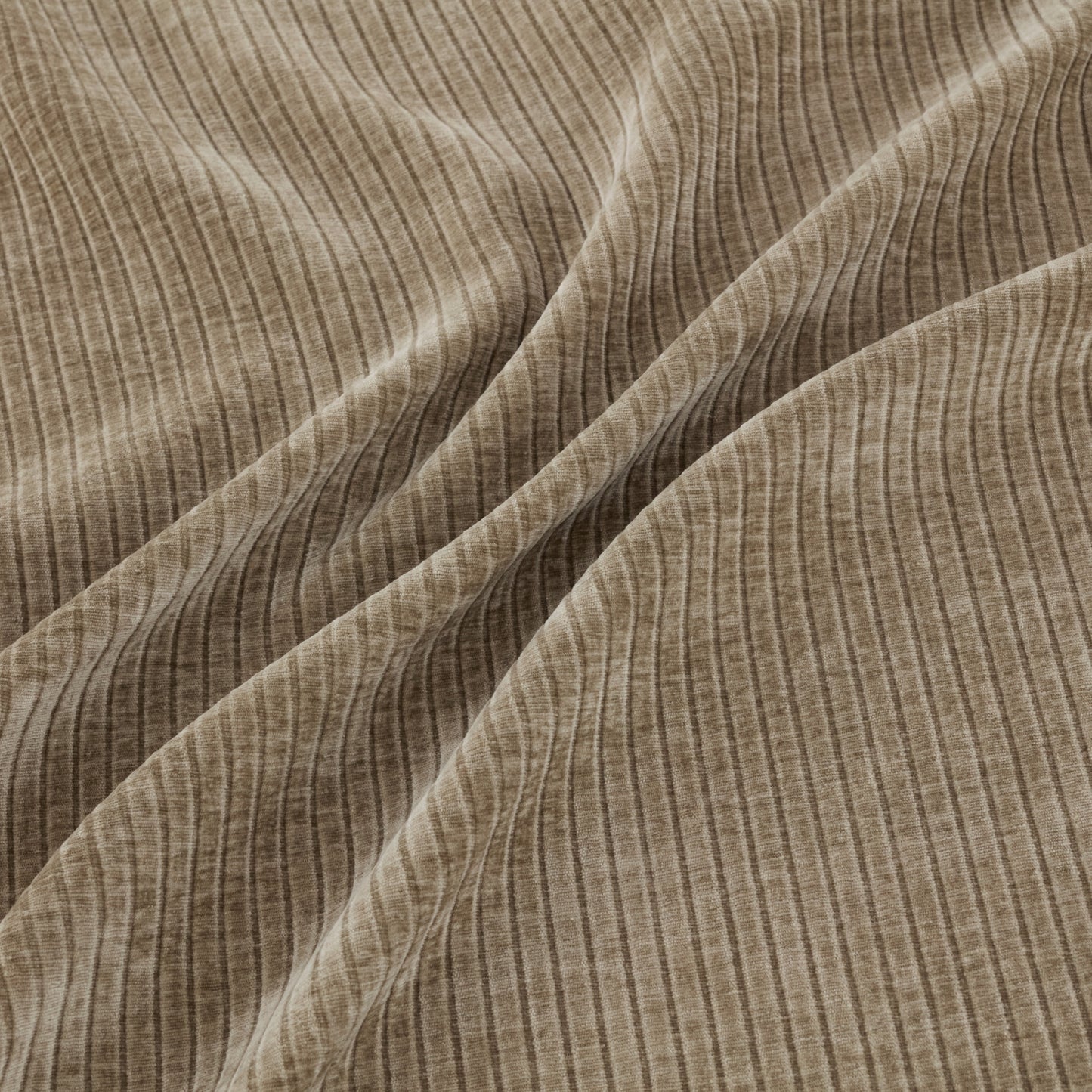 Warwick Racer Shitake