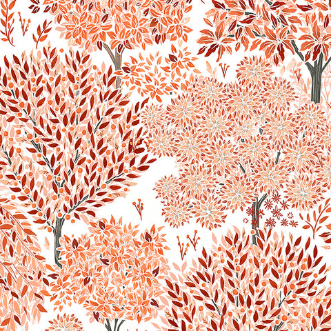 Fibre Naturelle Somerset Braeburn