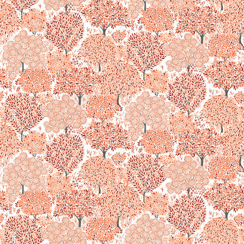 Fibre Naturelle Somerset Braeburn