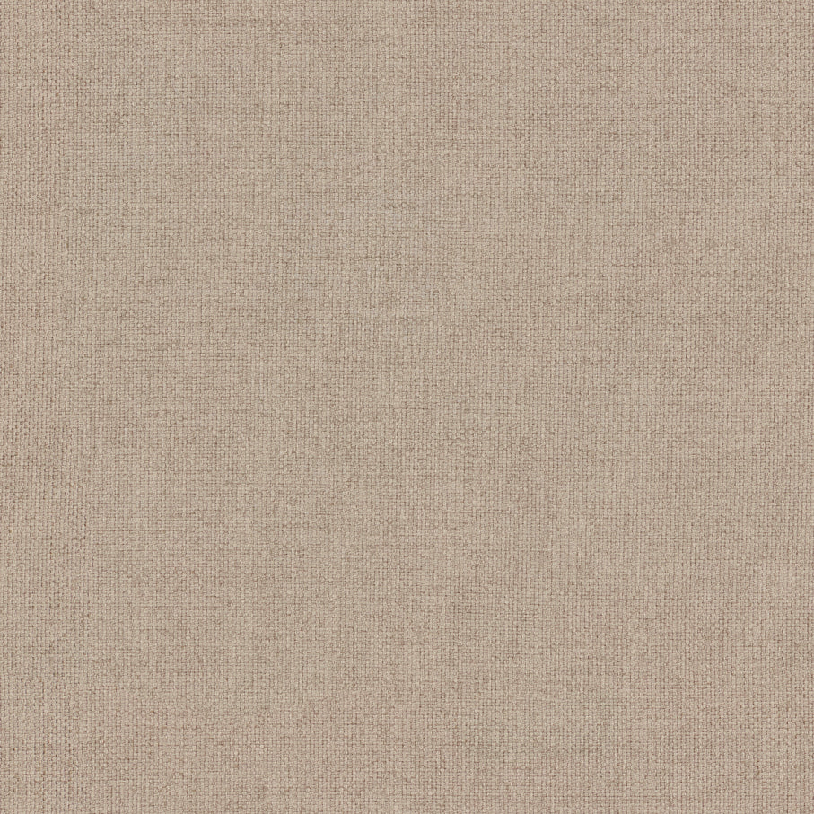 Warwick Saga Feather