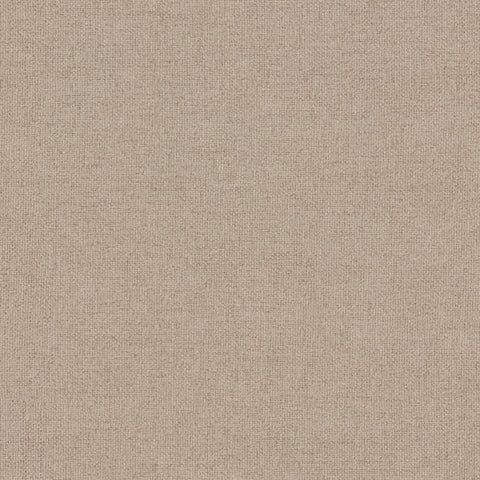 Warwick Saga Feather